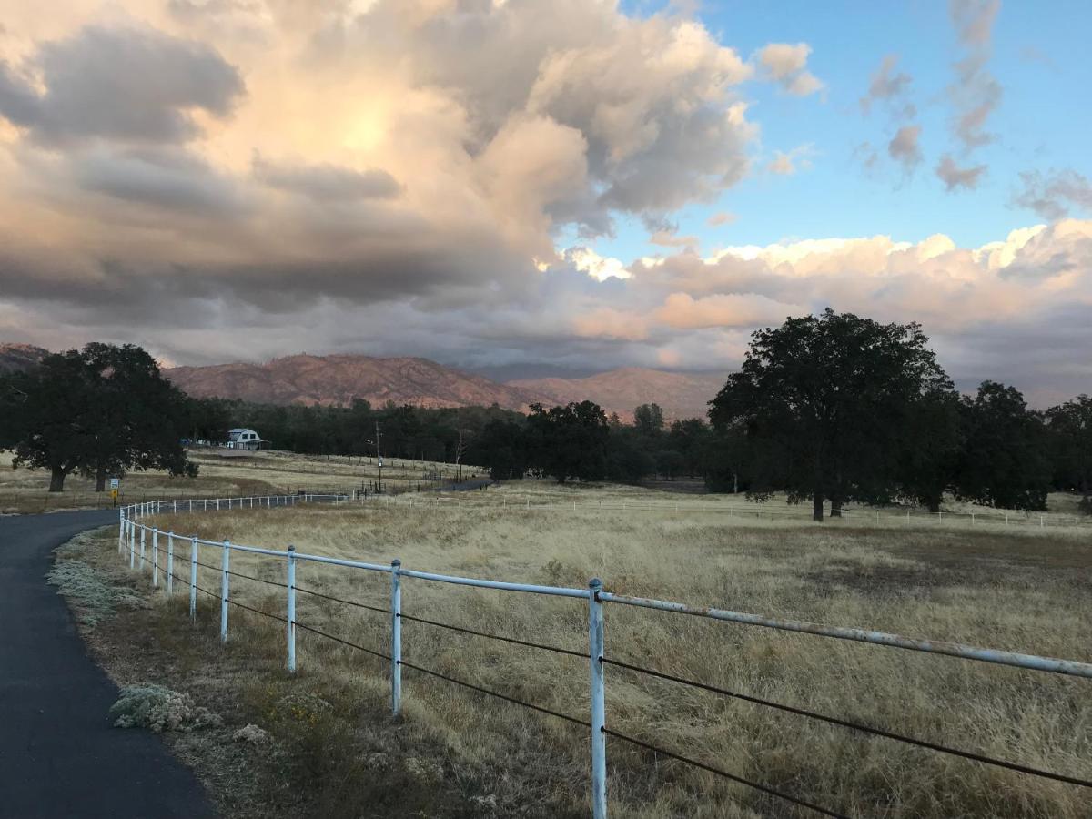 Apartamento Morning Star Vista Near Yosemite - Countryside With Mountain Views Mariposa Exterior foto